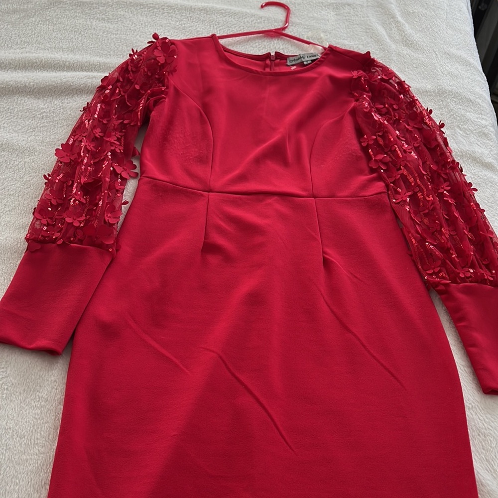 Red Dress - Picture 3 of 8